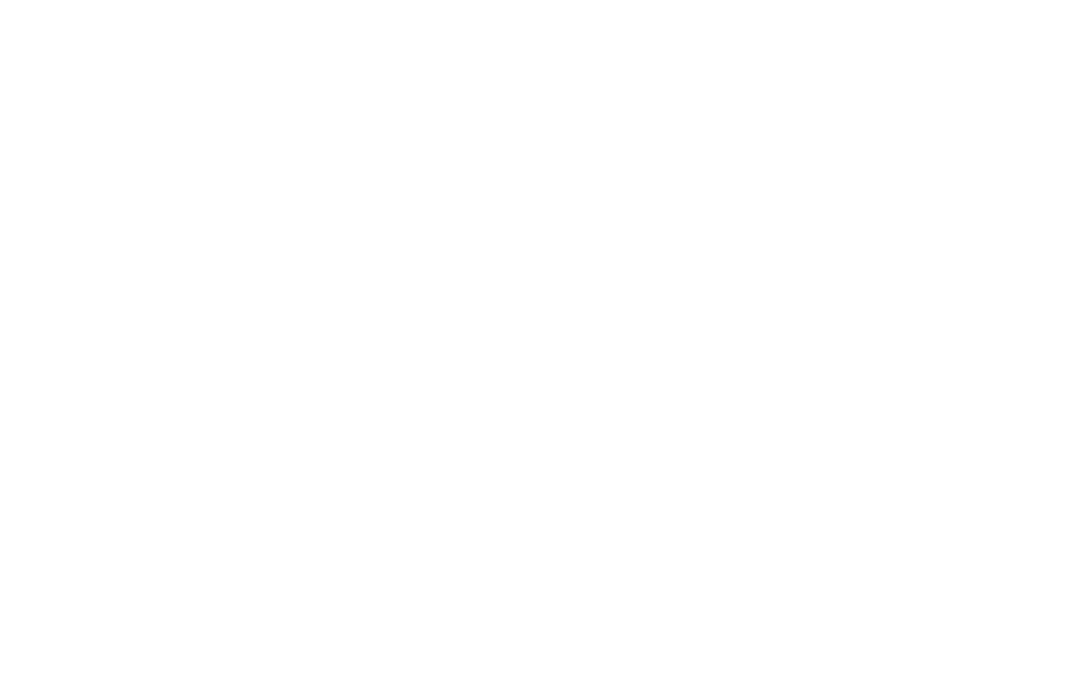 Elvyler
